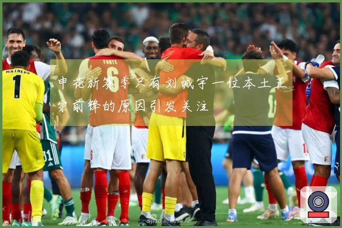 申花新赛季只有刘诚宇一位本土正宗前锋的原因引发关注