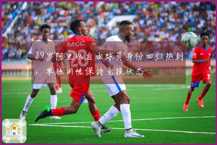 29岁阿里以自由球员身份回归热刺，单独训练保持竞技状态