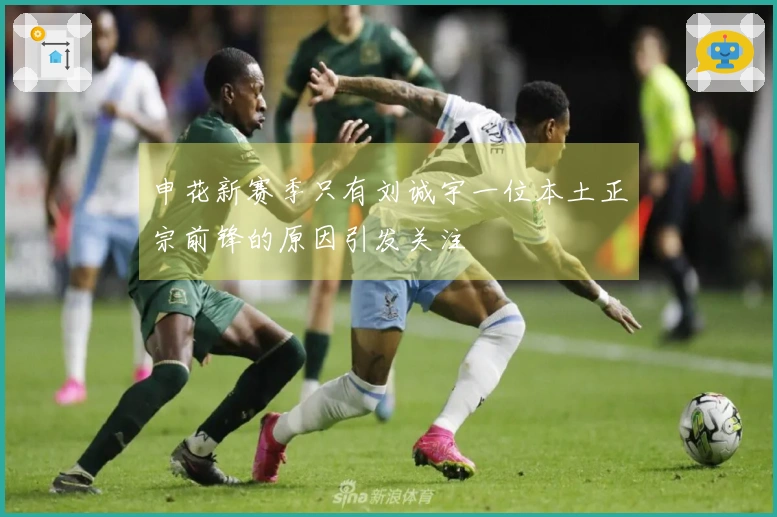 申花新赛季只有刘诚宇一位本土正宗前锋的原因引发关注