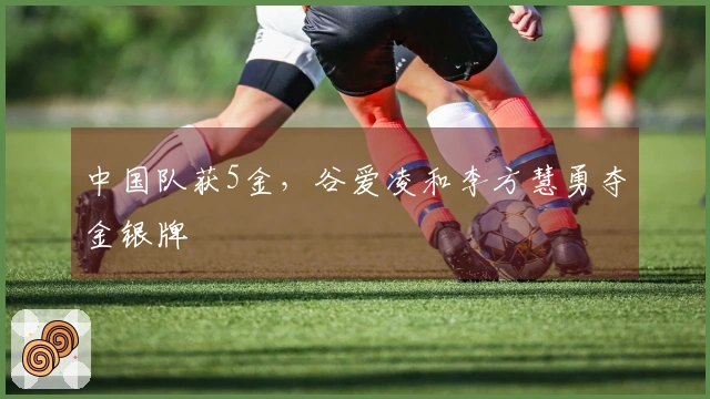 中国队获5金，谷爱凌和李方慧勇夺金银牌